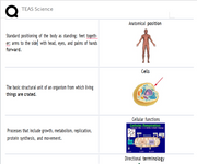 (Amanda) TEAS SCIENCE -A&P 305 Questions Study Guide Quizlet 2026