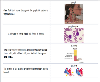 (Amanda) TEAS SCIENCE -A&P 305 Questions Study Guide Quizlet 2026