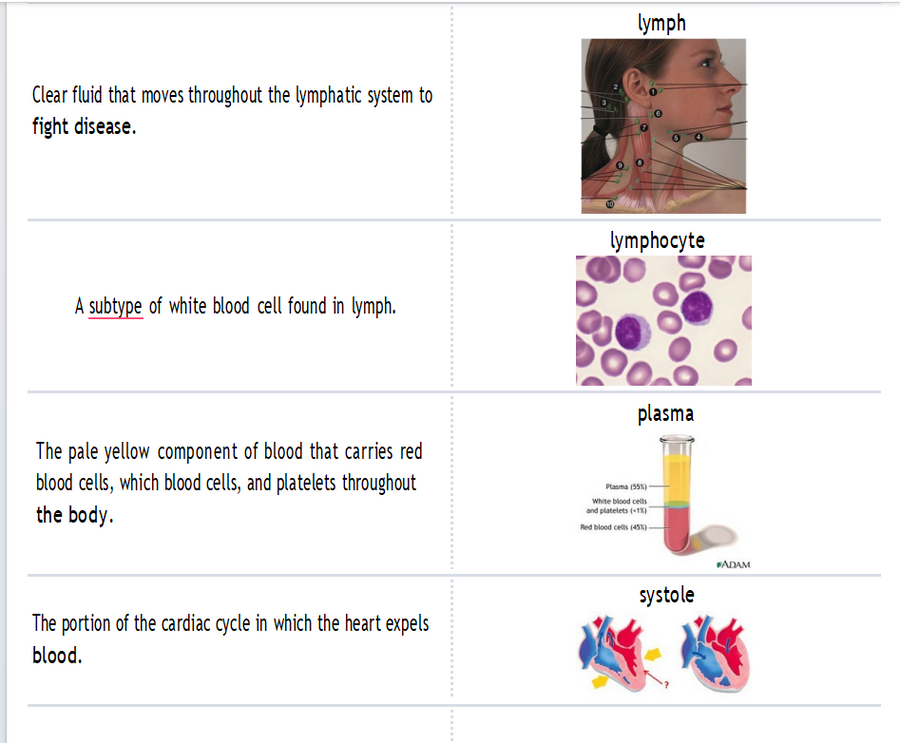 (Amanda) TEAS SCIENCE -A&P 305 Questions Study Guide Quizlet 2026