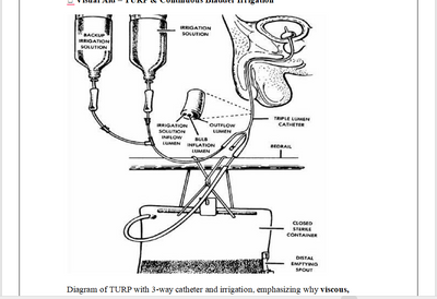 New: ATI Med Surg Proctored Exam Practice Qs 2026