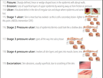 Q&A: HESI HESI A2 Anatomy and Physiology 330 Prep Quiz 2026 V2