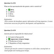 Q&A:HESI A2 Comprehensive Actual Exam Question Bank 2026-27 Quizlet Prep Bundle