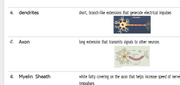 (Newly Updated) Nurse Cheung ATI Teas Anatomy and Physiology- All Versions 10 Quizlet