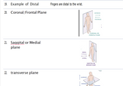 (Newly Updated) Nurse Cheung ATI Teas Anatomy and Physiology- All Versions 10 Quizlet