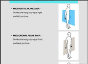 New:Radiologic Technology Mastery Positioning,Planes, and Anatomy Bundle