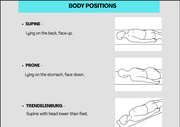 New:Radiologic Technology Mastery Positioning,Planes, and Anatomy Bundle