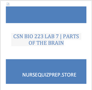New Version: Anatomy and Physiology: Parts of the Brain Q&A 2026