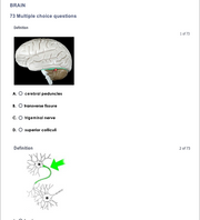 New Version: Anatomy and Physiology: Parts of the Brain Q&A 2026