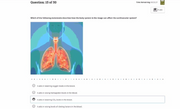 New ATI Teas 7 Study Guide Questions 2026 All SETS 16 Sets