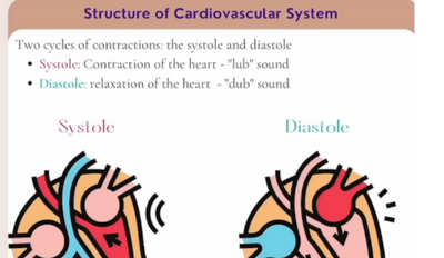 (Updated) TEAS Notes - Anatomy & Physiology Nurse Cheung