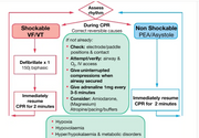 Adult Medical Emergencies Handbook